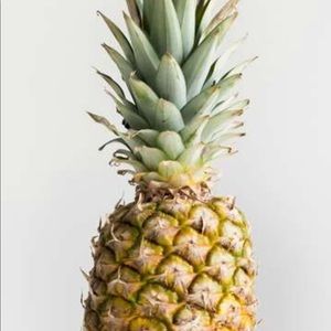 Meet your Posher, Steve